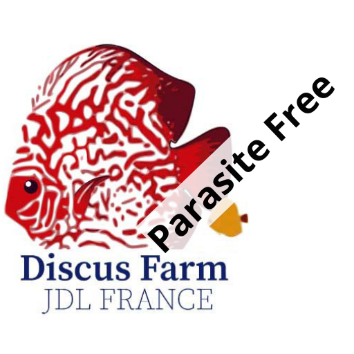Discus Farm JDL France – La Qualité élevée en France
