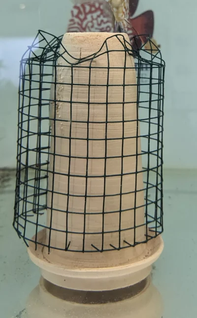 Cône pour la reproduction des discus
