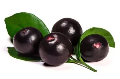 Acai-Berry-pregnant acai berry