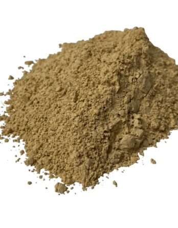 Pot d'argile d'aquarium