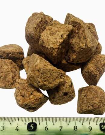 Artémias lyophilisés