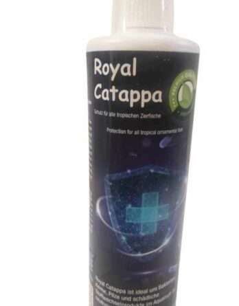 Discusfood-Royal-Catappa Discusfood-Royal-Catappa