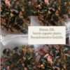 in-vitro-Bucephalandra-Godzilla
